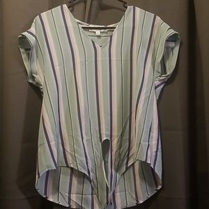 Pink rose striped top
